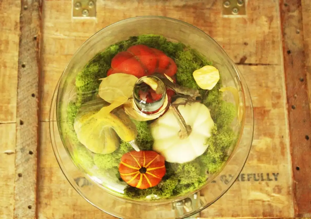 DIY Domed Pumpkin Patch-DIY domed pumpkin patch,