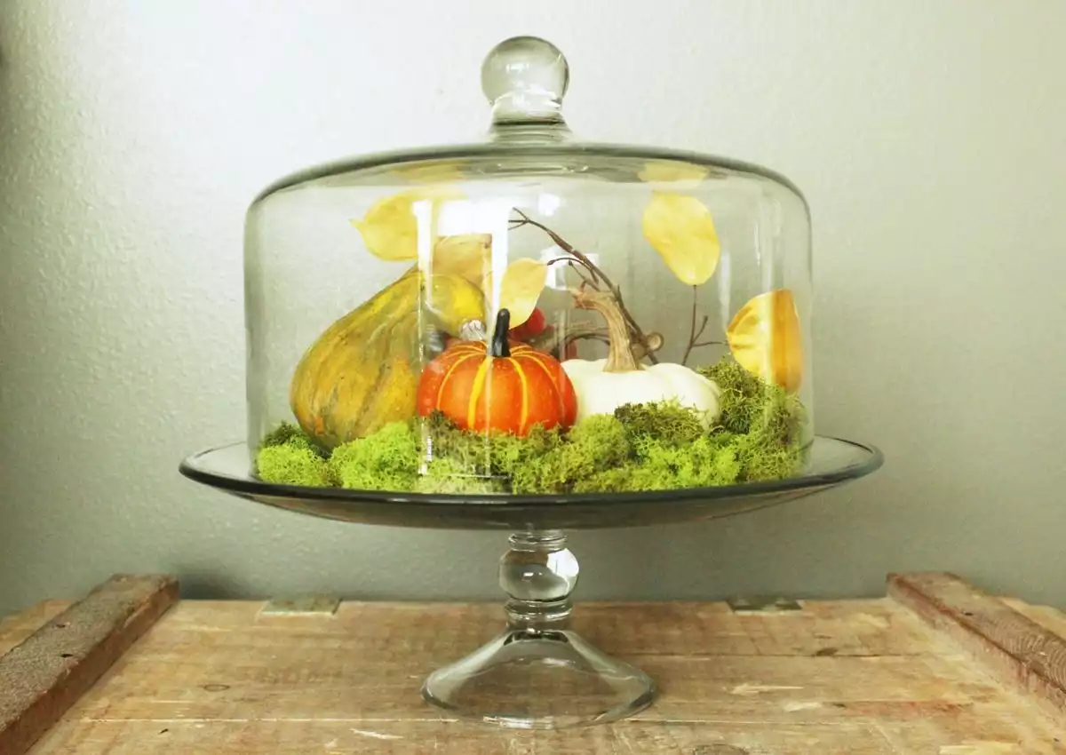DIY Domed Pumpkin Patch-cake stand and dome create a beautifully