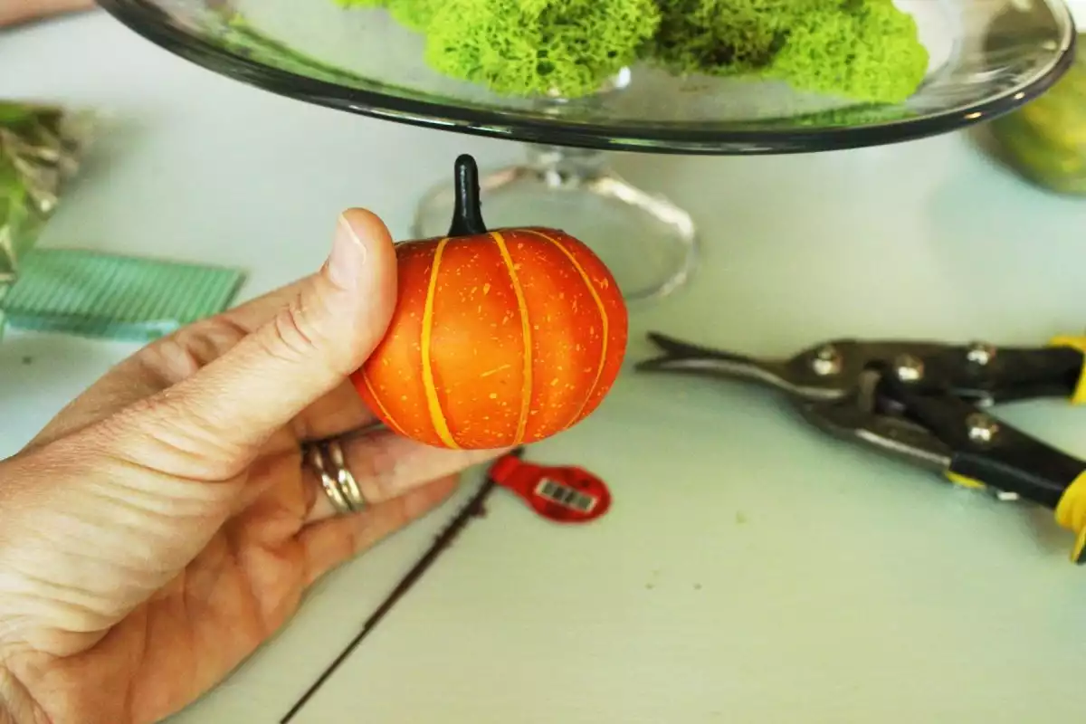DIY Domed Pumpkin Patch-can to the bottom of your pumpkins