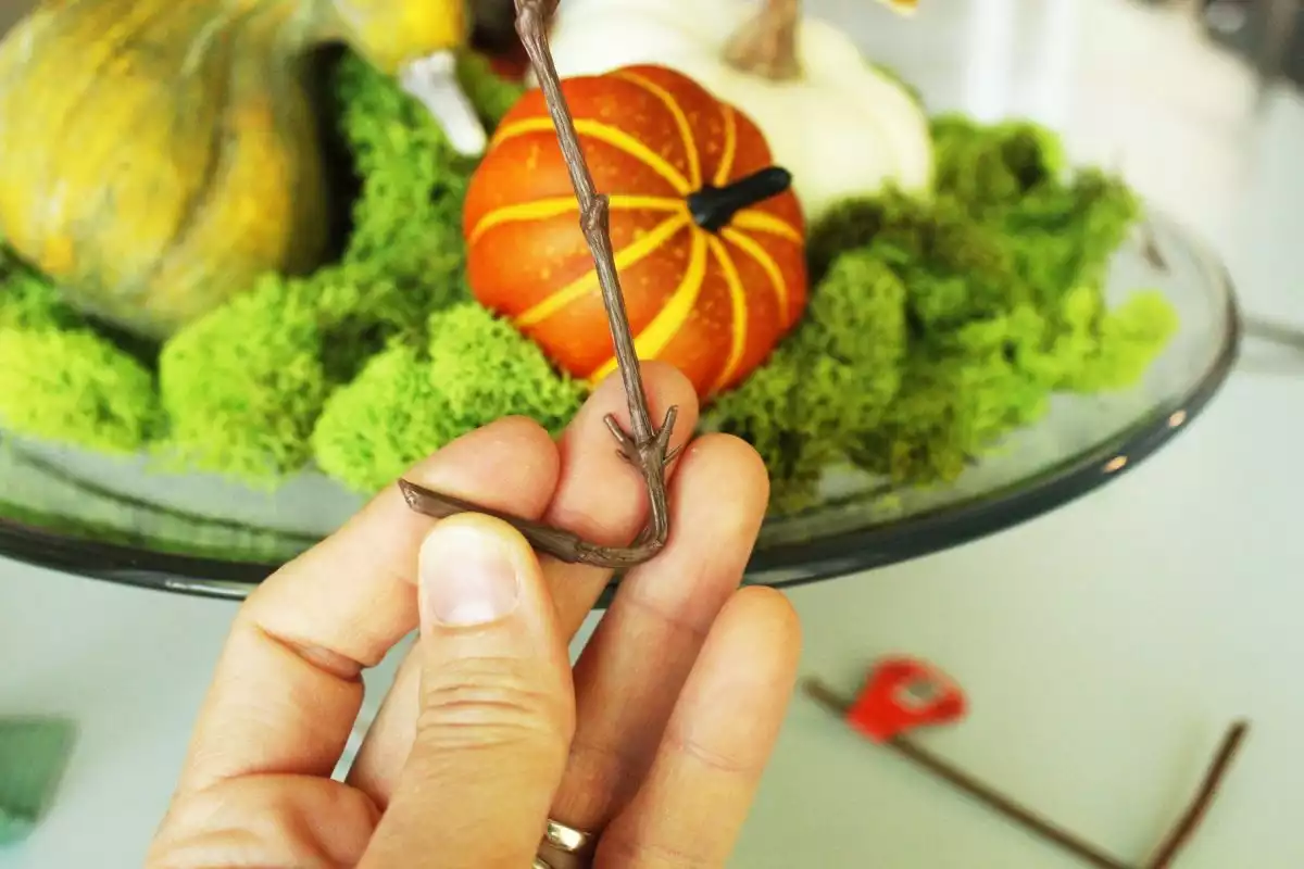DIY Domed Pumpkin Patch - enough room in your now-mini stem