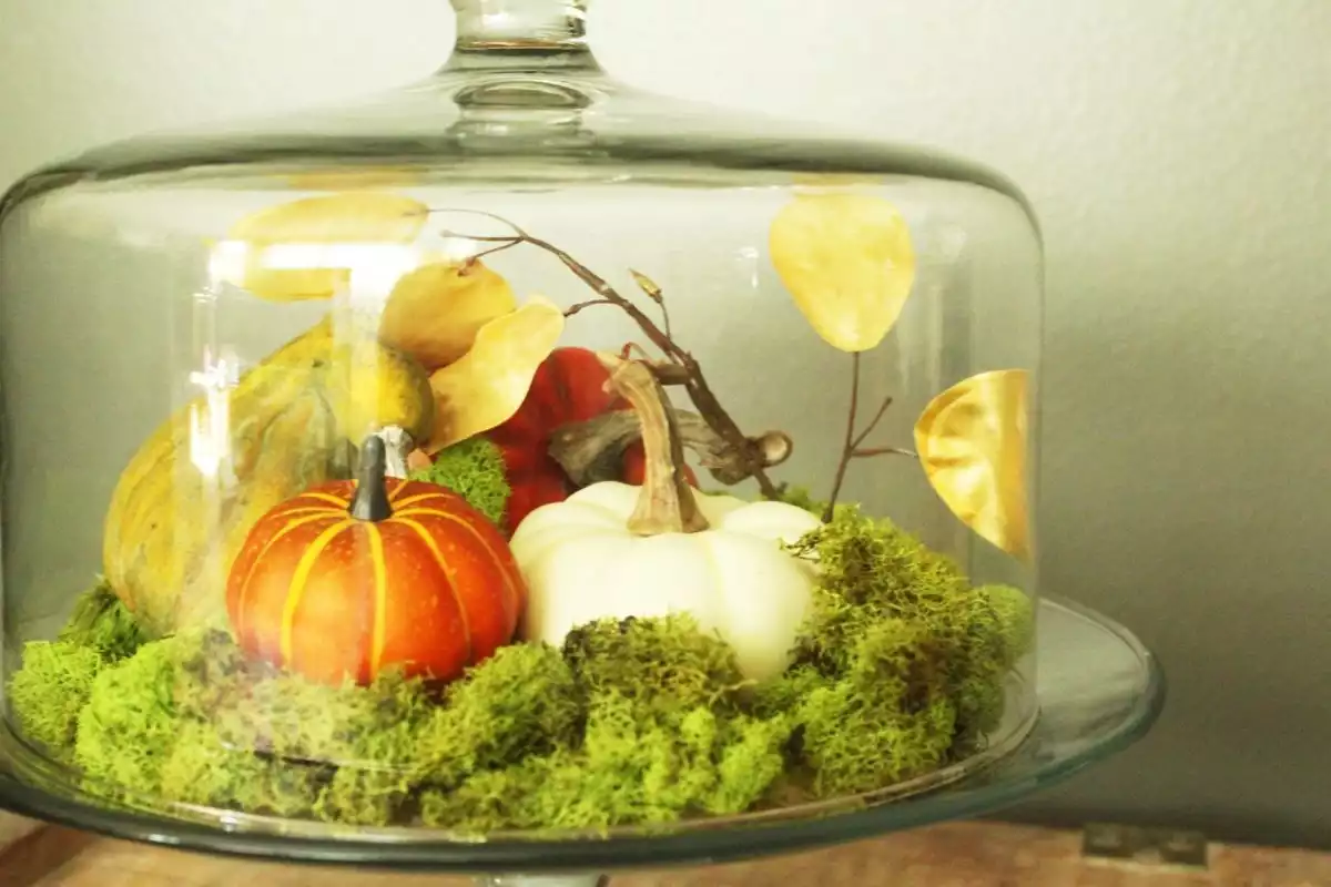 DIY Domed Pumpkin Patch-height and visual interest