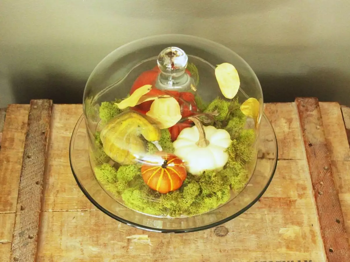 DIY Domed Pumpkin Patch-own little fake pumpkin patch