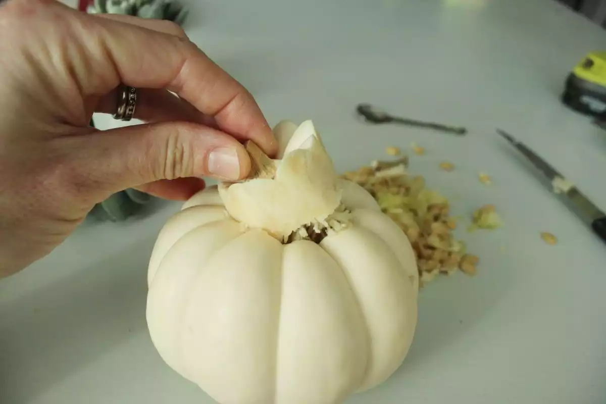 DIY Pumpkin Succulents Remove the stem