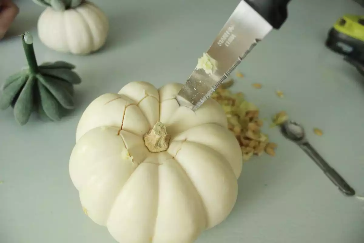 DIY Pumpkin Succulents carve an opening around the stem