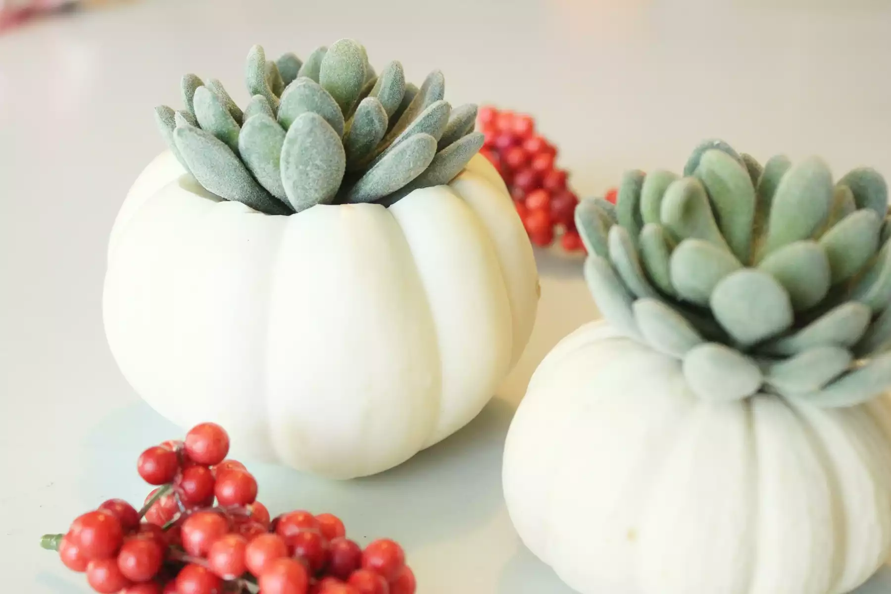 DIY Pumpkin Succulents for mantel