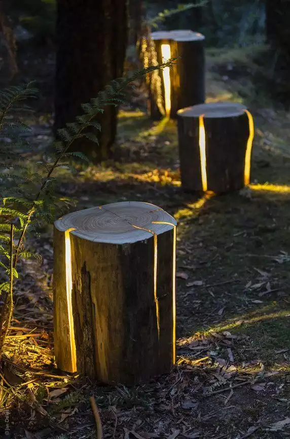 Stump Lights