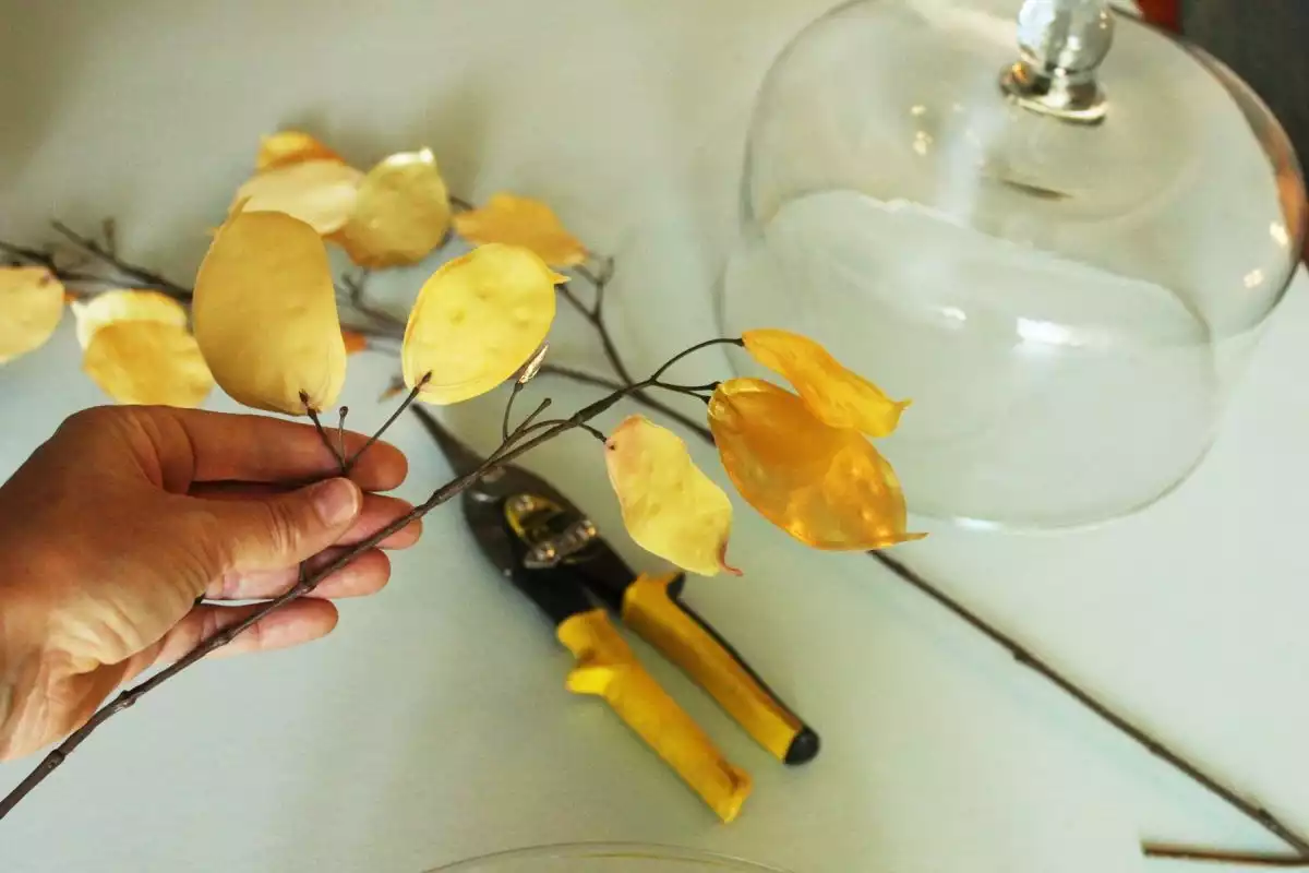 Example incorporates a little height by way of a golden yellow floral leaf stem