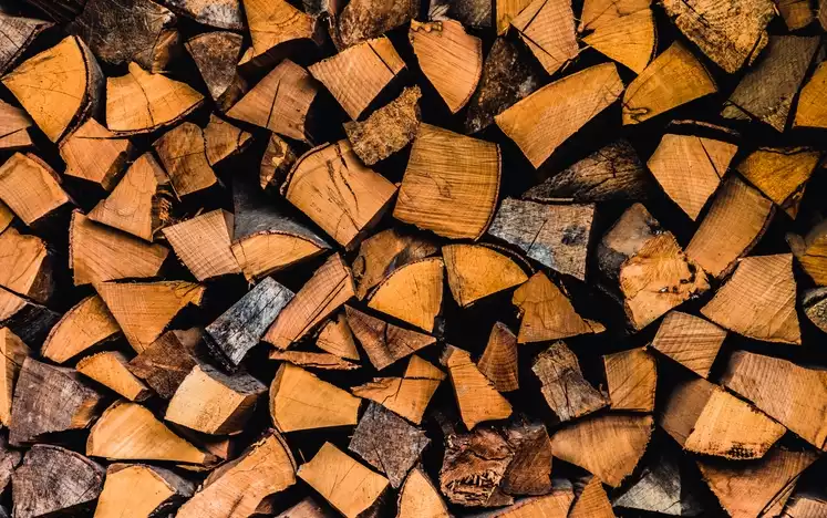 Can Firewood Get Rained On?