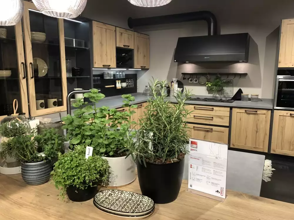 Decorate the kitchen coutnertop with plants