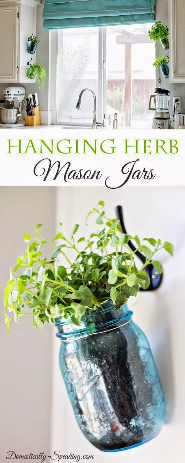 Hanging mason jar herb garden