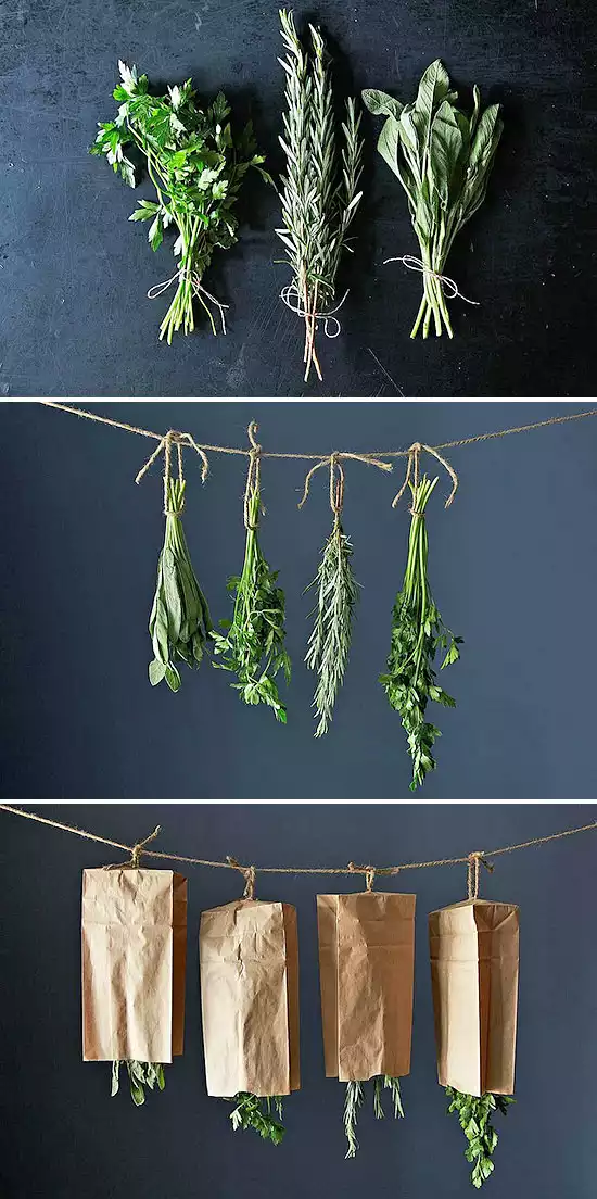 Harvest drying herbs