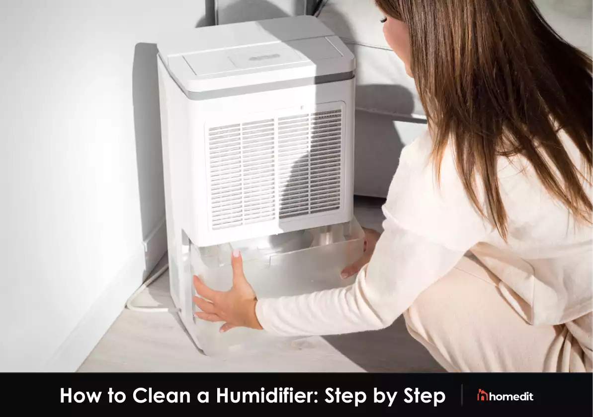 How to Clean a Humidifier