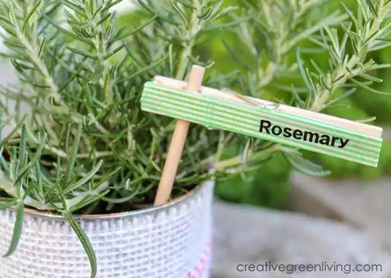 Recycled Plant Markers