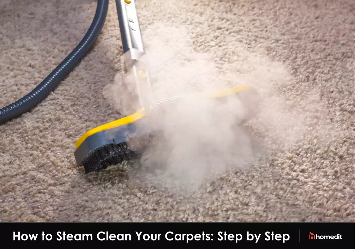 The Correct Way to Steam Clean Carpet to Remove Stains, Germs, and Dirt