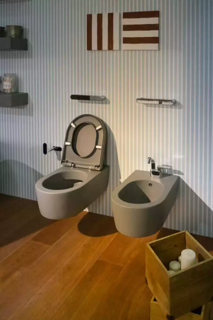 What is A Bidet?