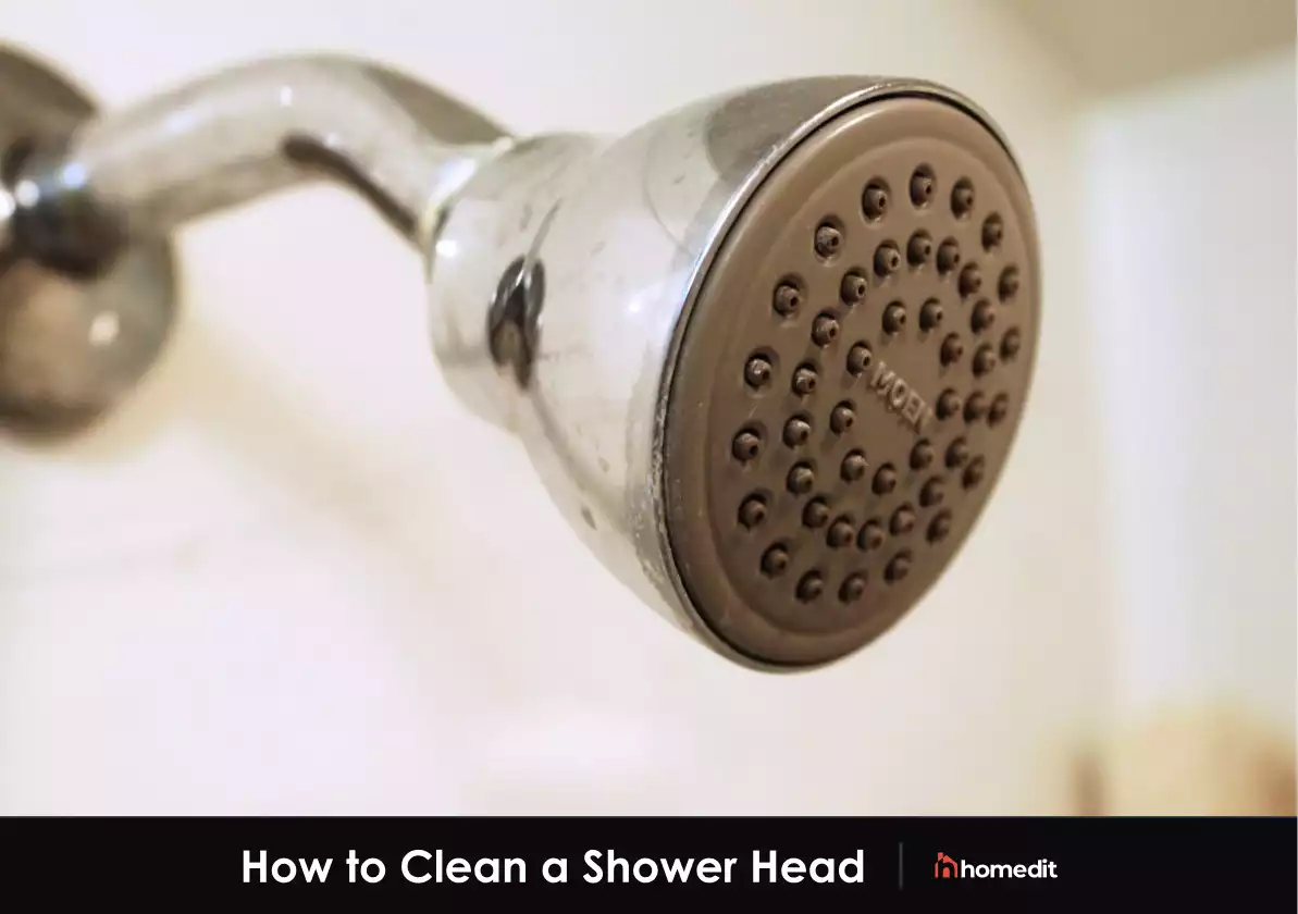 How to Clean a Shower Head