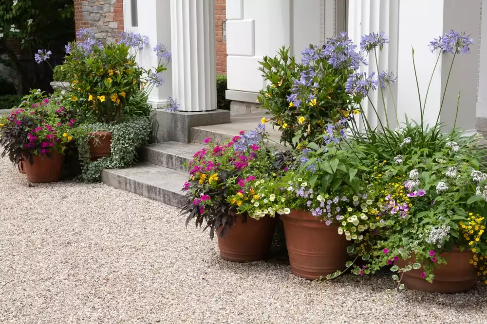 Large front door planters