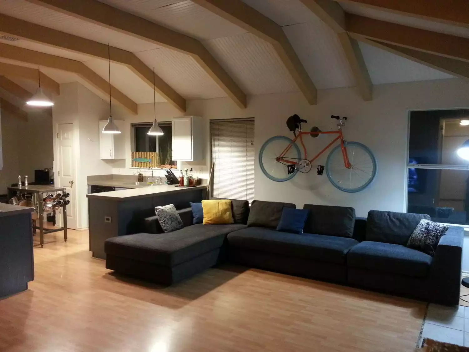 Living room Bike hanger