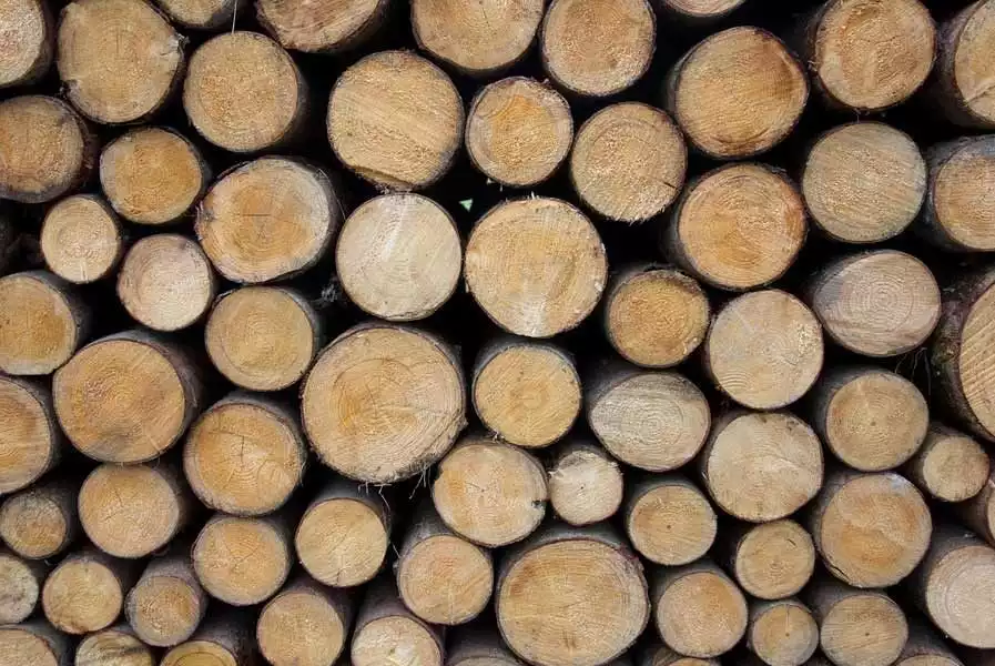 Long-burning firewood