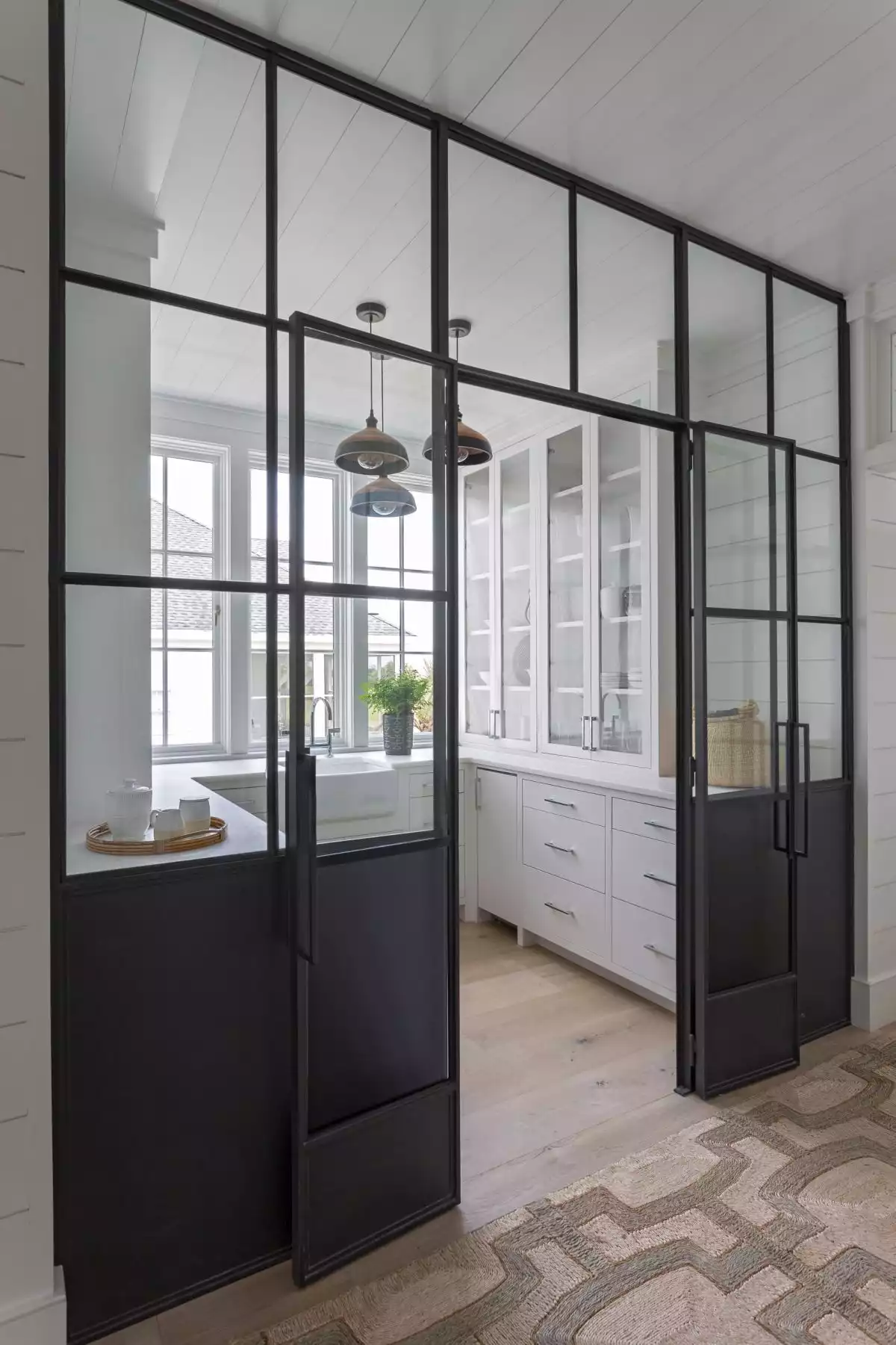 Modern Glass Pantry Doors