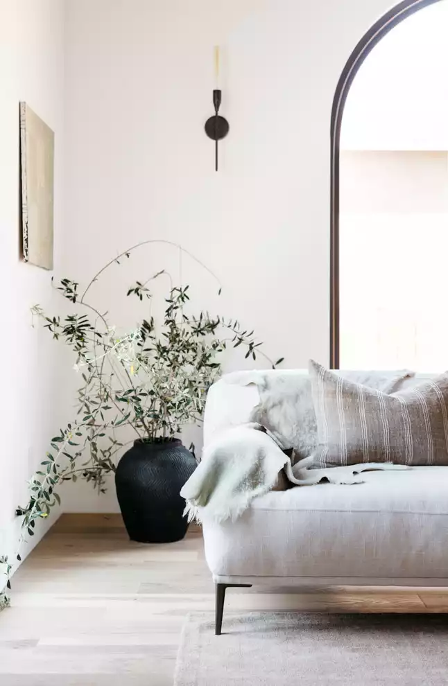Natural Decor and Greenery
