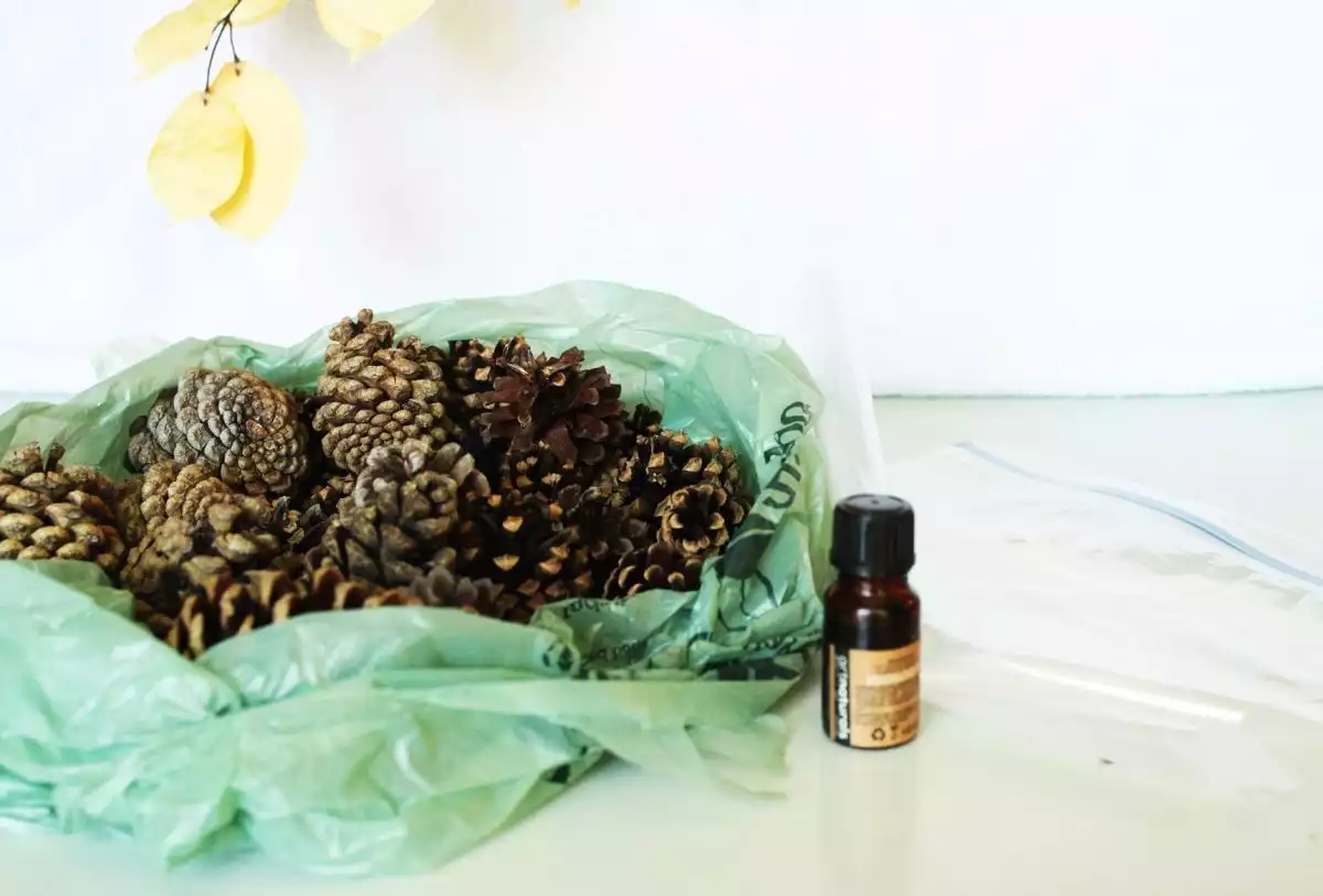 Orange-Cinnamon Pinecones - supplies