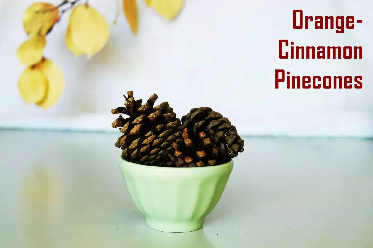 Orange-Cinnamon Pinecones.