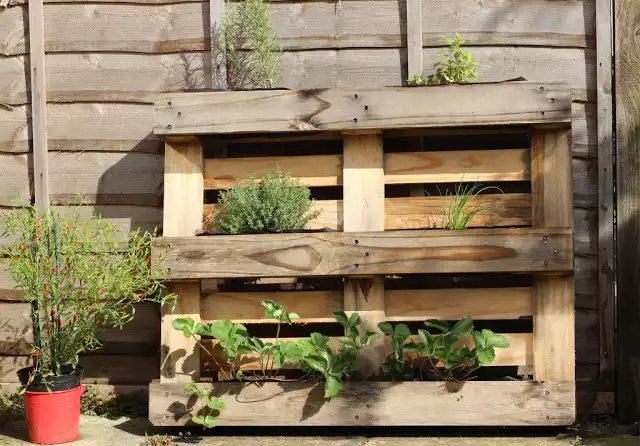 Pallet wooden planter
