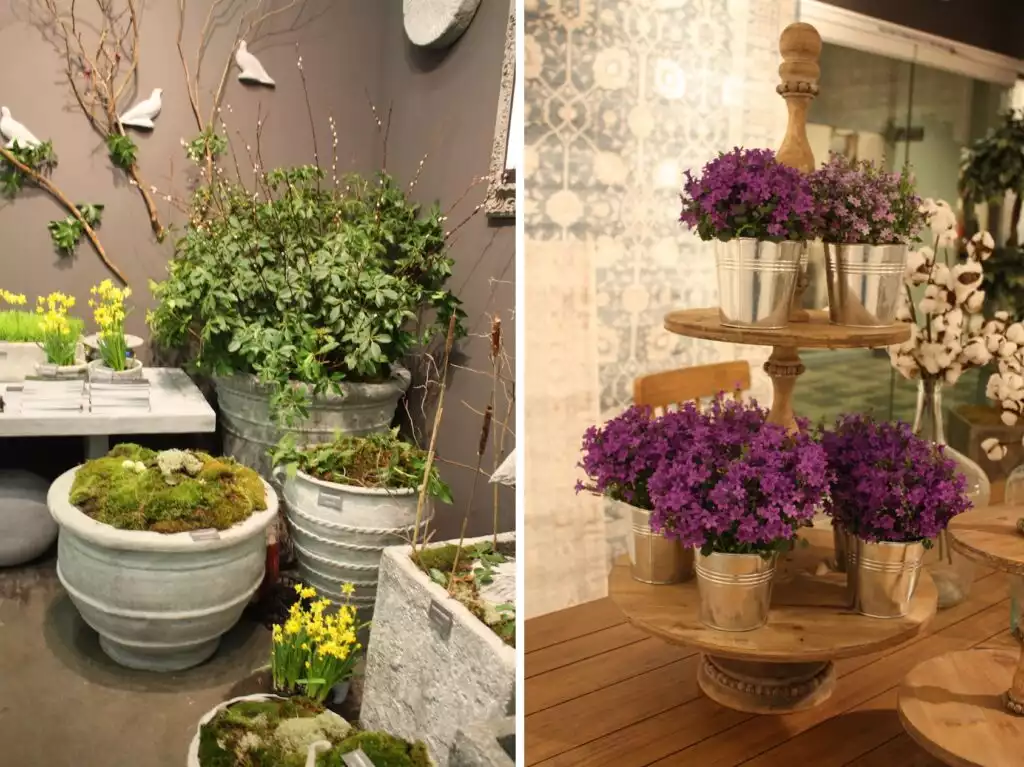 Add Plants and Flowers