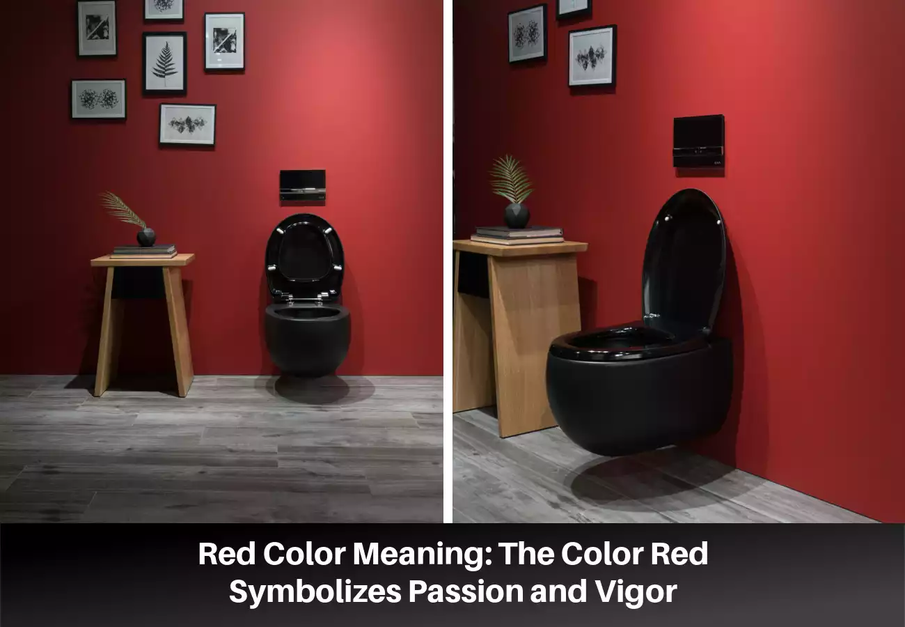 Red Color Meaning: The Color Red Symbolizes Passion and Vigor