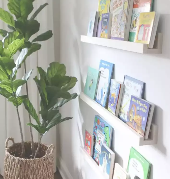 Simple and versatile book ledges