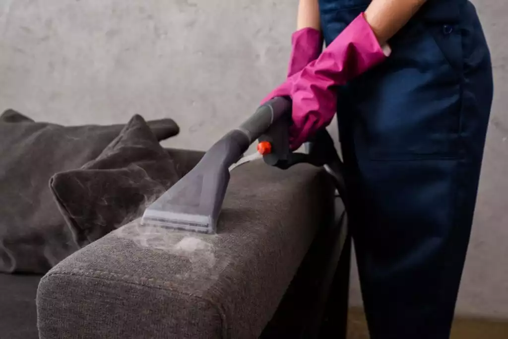 Steam Cleaner For Couch
