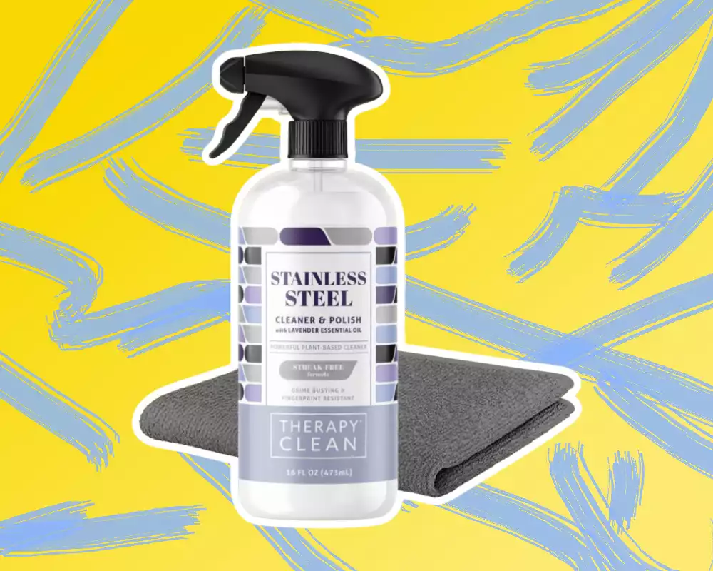 Therapy Stainless Steel Cleaner Kit
