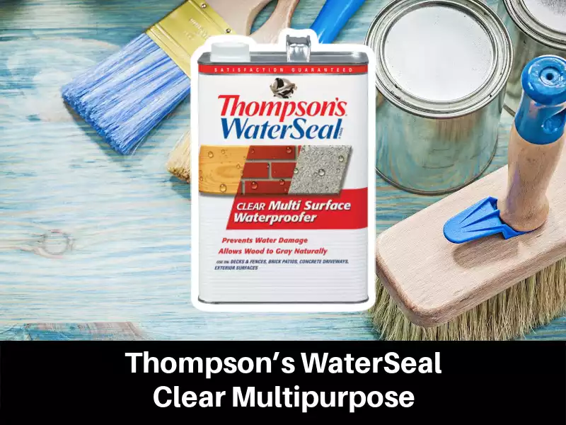 Thompson’s WaterSeal Clear Multipurpose