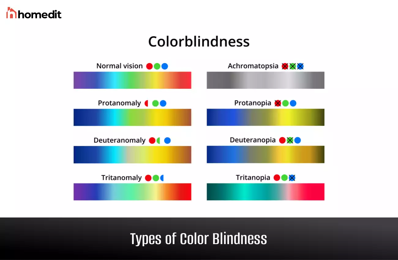 Types of Color Blindness