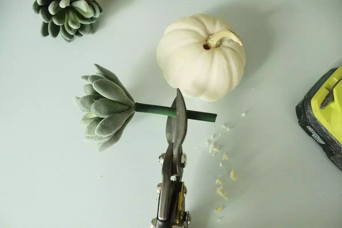 Use wire cutters or tin snips