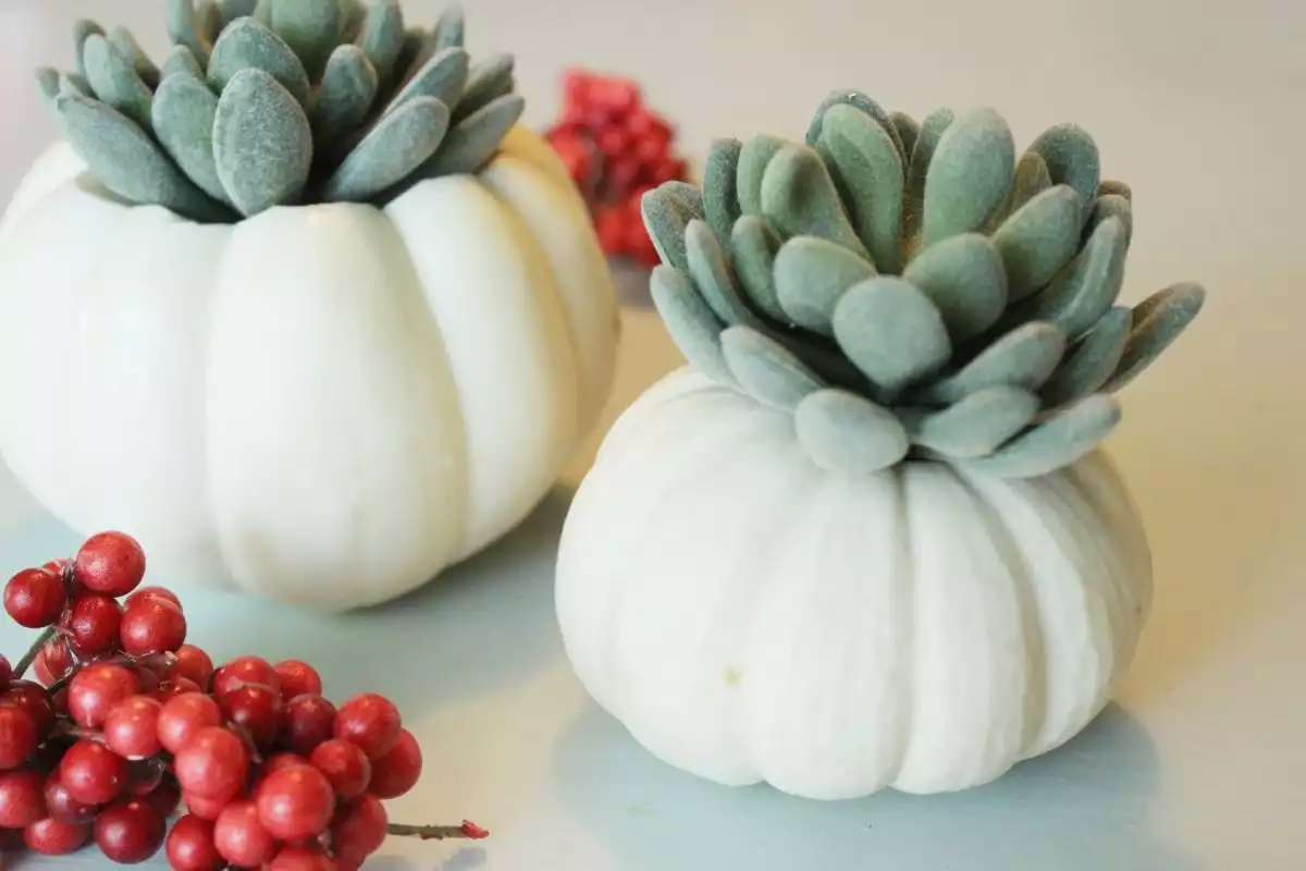 We love the unique twist on succulents