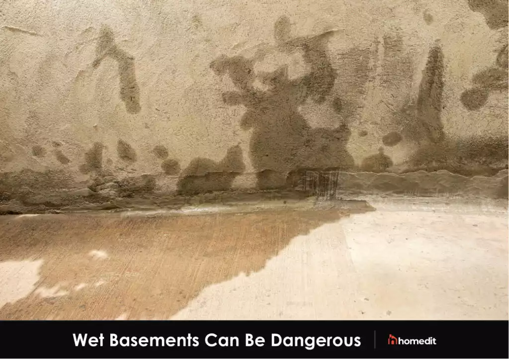 Water in Basement: How it Gets in and Why It is Dangerous
