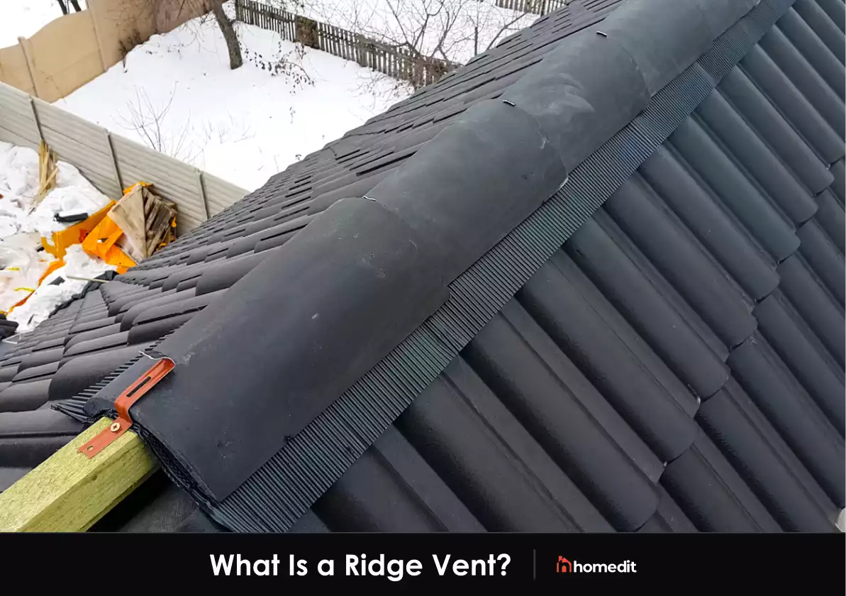 What Are Ridge Vents and Does Your Roof Need One?