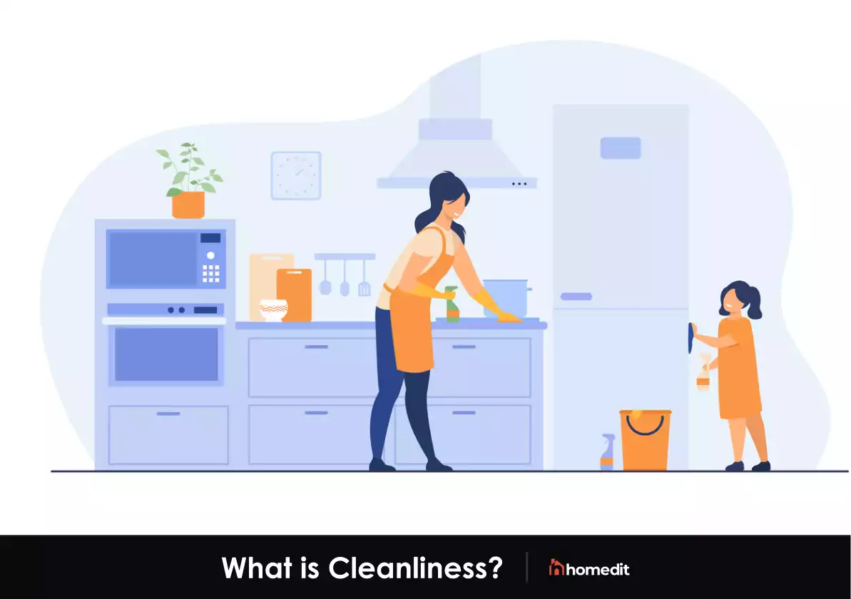What is Cleanliness?