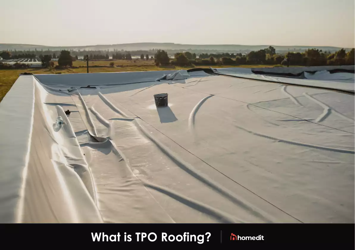 What Is TPO Roofing?