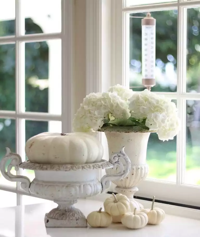 White Pumpkins