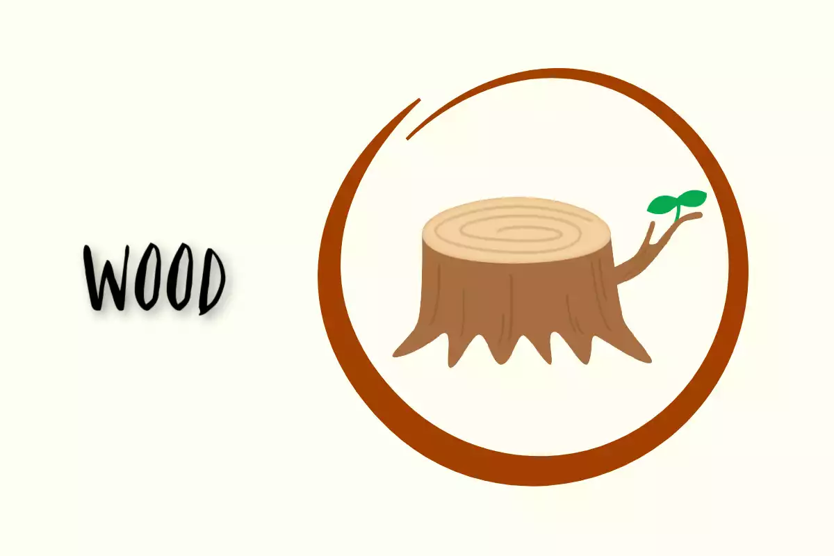 Wood Element in Feng Shui Design