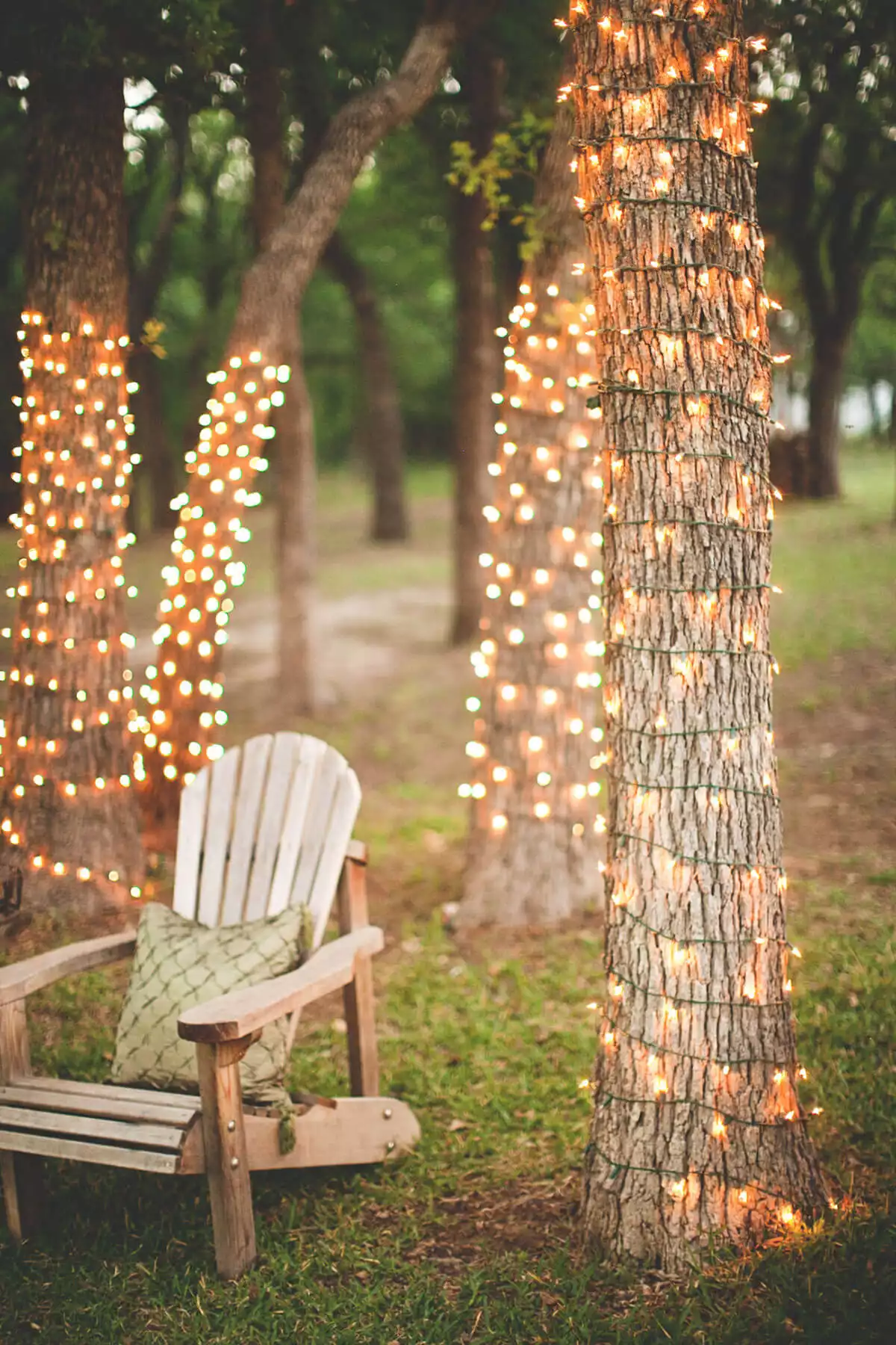 Wrapped in String Lights
