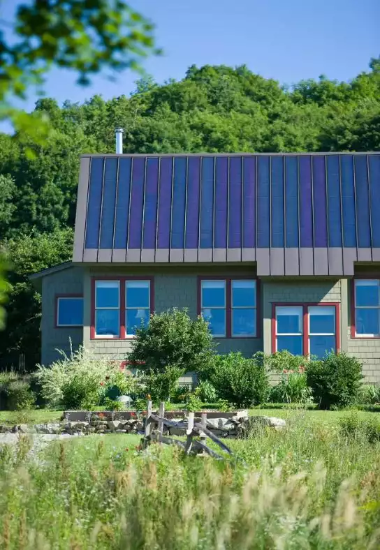 Pros And Cons Of Metal Roofs