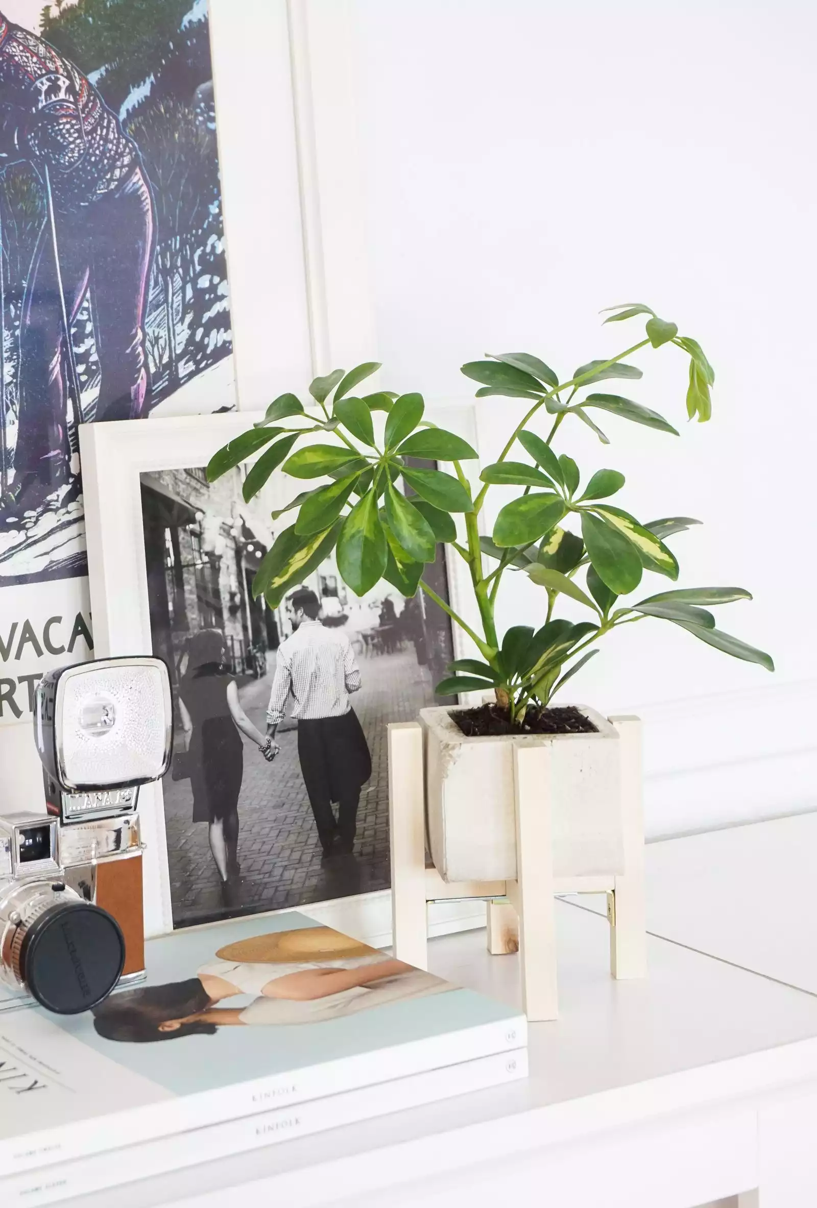 concrete planter wooden stand