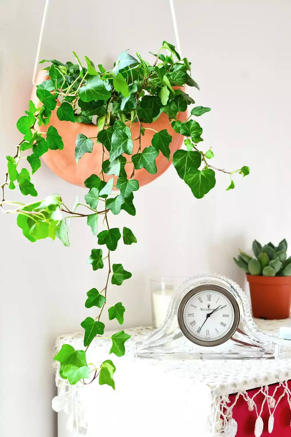 crescent moon hanging planter