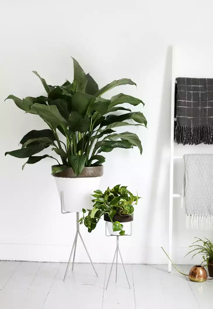 diy leather trim planter