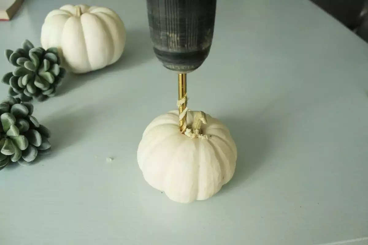 Pumpkin more than centered around the stem