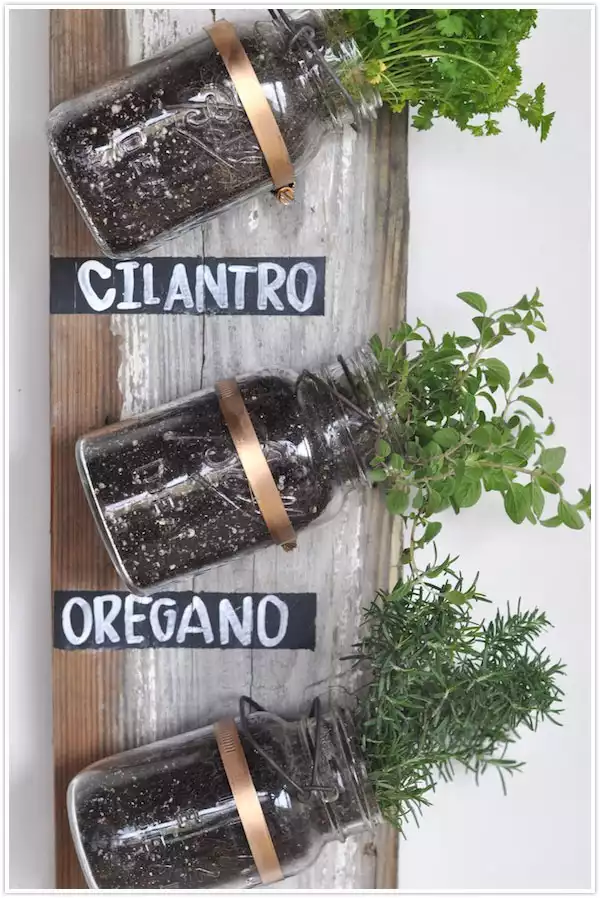 reclaimed wood and jars herb garden